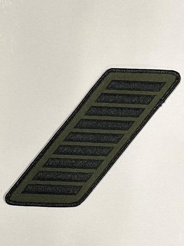 Cochise County Sheriff's Office Years of Service Hash Marks - 9